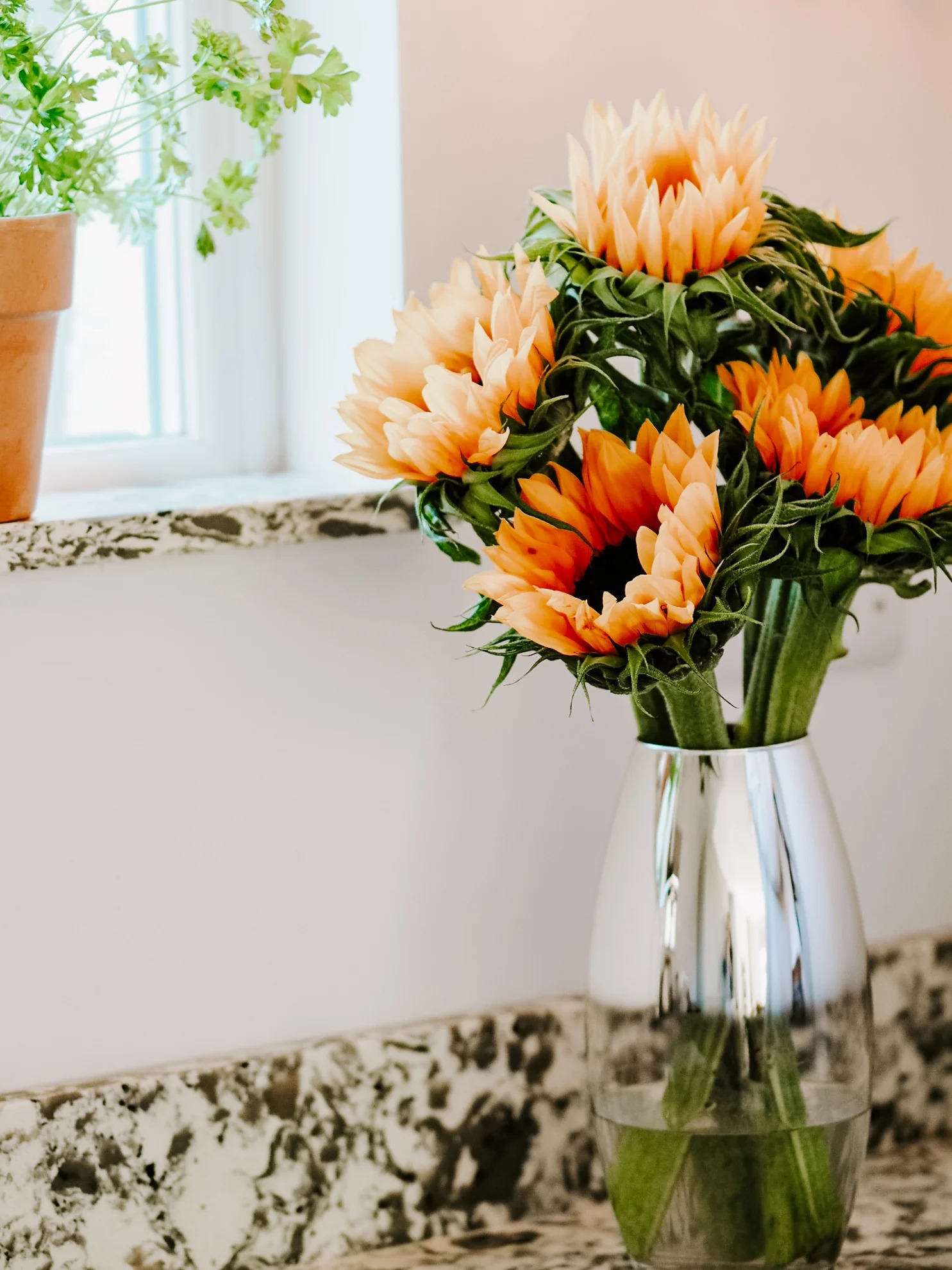 Parkstone - Ruler Interior Design